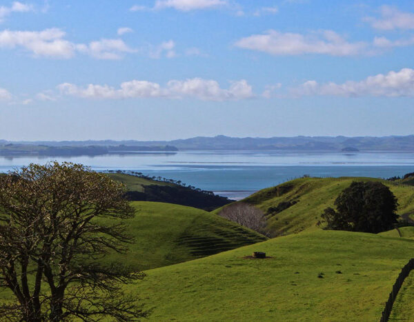 Kaipara2