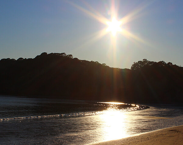 Whangaparaoa-beach